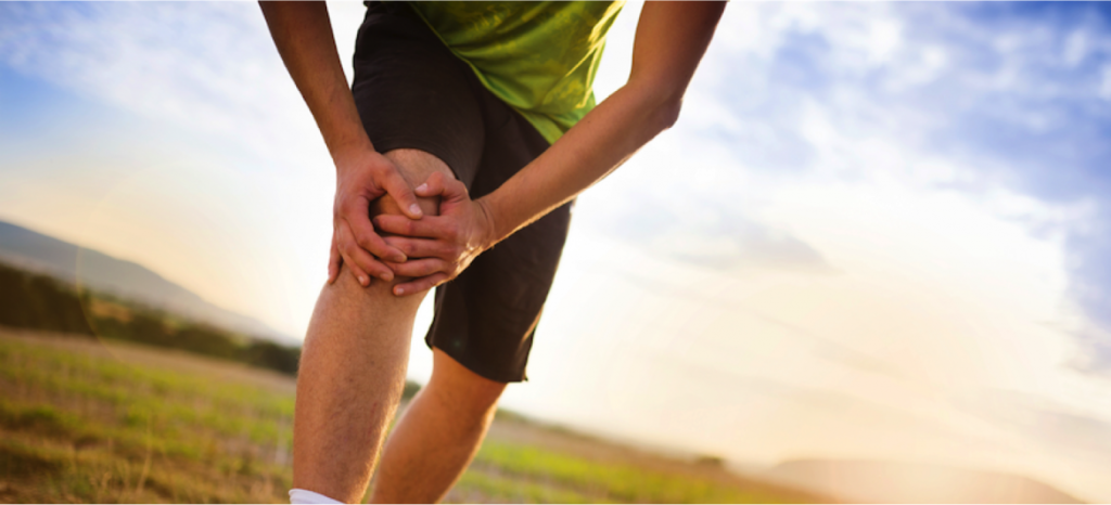 Rodilla